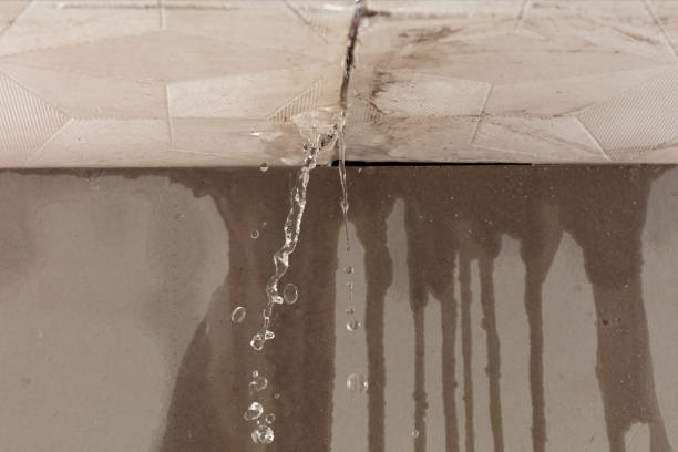 Professional Structural Drying technician working in Walhonding, OH